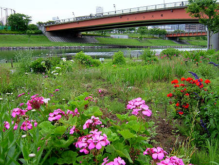 Copyright(c)2000$B!A(B Candybox All Rights Reserved